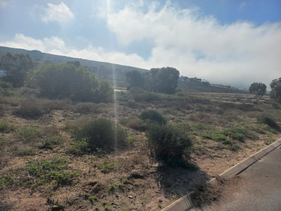 0 Bedroom Property for Sale in Steenbergs Cove Western Cape